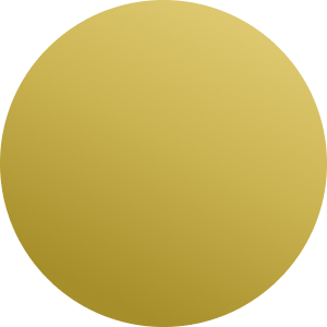 Grigio argento / Oro / Nero