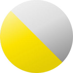 Grigio argento / Nero / Giallo